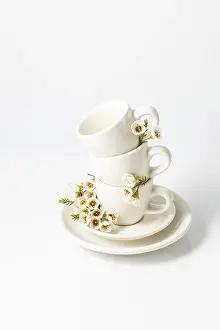 Spring Flowers Background Drucke: Stack of white ceramic cups and a saucer