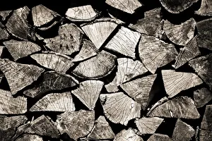 Deserted Wood Stack Drucke: Stack of wood