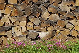 Renewable Energy Drucke: Stack of wood
