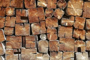 Bavaria Woodpile Drucke: Stack of wood, Bavaria, Germany