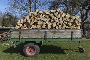 Bavaria Woodpile Drucke: Stack of wood on a trailer, Bavaria, Germany
