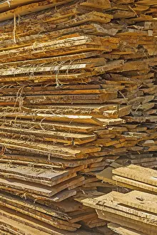 Deserted Forest Scene Drucke: Stack of wooden boards