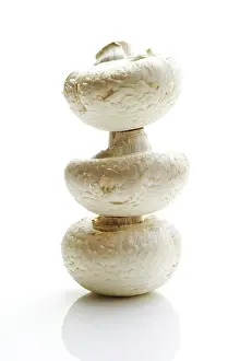 Nutrition Facts Drucke: Stacked button mushrooms