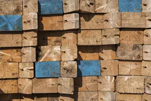 Deserted Canadian Landscape Drucke: Stacked cut rectangular and square pieces of lumber