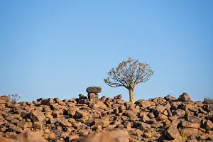Stacked Red Rocks Africa Drucke: Stacked red rocks, rock formations