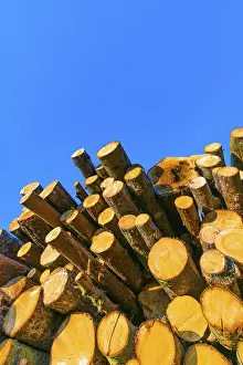 Blue Sky Austria Drucke: Stacked tree trunks against a blue sky