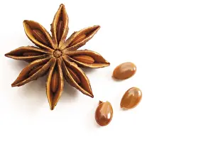Star Anise Drucke: Star anise
