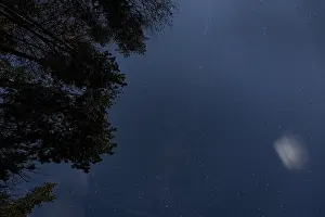 Lower Austria Landscape Drucke: Starry sky with trees, Ternitz