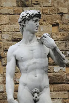 Drucke von Statue von David geschaffen von Michelangelo in Florenz, Italien Michelangelo Buonarroti Drucke: Statue von David geschaffen von Michelangelo in Florenz