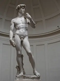 Drucke von Ein Meisterwerk der Renaissance: Der David von Michelangelo, ein Symbol der Stärke und Schönheit Michelangelo Buonarroti Drucke: Der David von Michelangelo in der Galleria dell'Accademia, Florenz