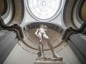 Drucke von Statue von David von Michelangelo, Galleria dell'Accademia, Florenz, Toscana, Italien Michelangelo Buonarroti Drucke: Statue von David von Michelangelo