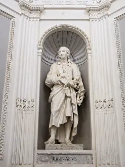 Southern Europe Culture Drucke: Statue of Linnaeus at Villa Giulia