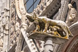 Siena Drucke: Statue von Romulus und Remus, die von dem Wulfe gefüttert werden.