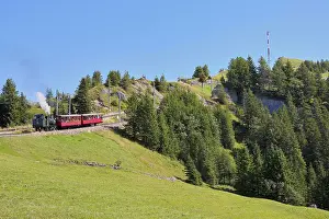 Middle Europe Landscapes Drucke: Steam train approaching Rigikulm