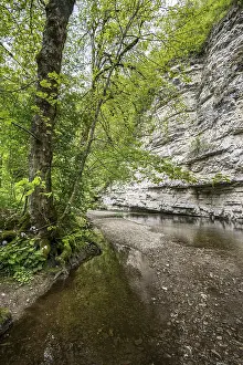 Wutach Gorge Drucke: Steep cliffs and river, Wutach Gorge