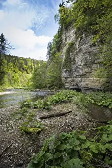 Wutach Gorge Drucke: Steep cliffs and river, Wutach Gorge