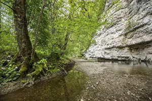 Wutach Gorge Drucke: Steep cliffs and river, Wutach Gorge