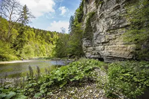 Waterfront Nature Scene Drucke: Steep cliffs and river, Wutach Gorge