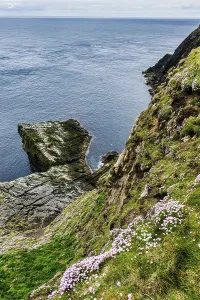 Rocky Coastline UK Drucke: The steep cliffs of Sumburgh head