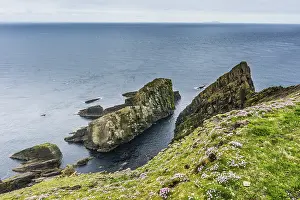 Deserted Scottish Coastline Drucke: The steep cliffs of Sumburgh head