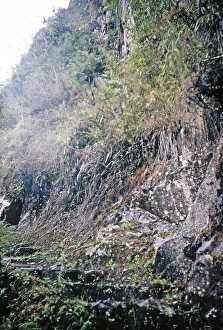 South America Ruins Complex Drucke: Steep, slippery steps of the Huayna Picchu mountain path