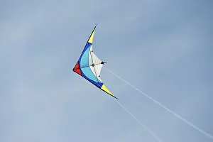 Deserted Sky Drucke: Steering kite