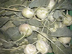 Green Vegetable Drucke: Stem cabbage