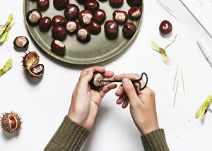 Recreational Activities For Kids Drucke: Step 1 Drill a hole in the chestnut using the hand drill