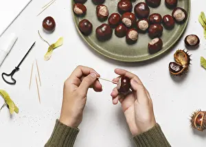 Handicrafts With Children Drucke: Step 2 Insert the toothpick into the chestnut
