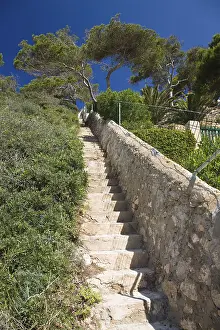 Mallorca Coastline Drucke: Steps down to the beach in the Bay of Cala Llombards