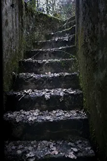 Second World War Bunker Drucke: Steps up from the Cheneux bunker