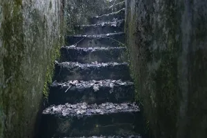 Second World War Bunker Drucke: Steps up from the Cheneux bunker