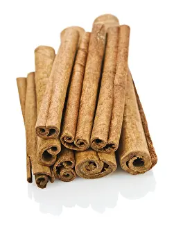 Cinnamon Stick Detail Drucke: Stick of cinnamon