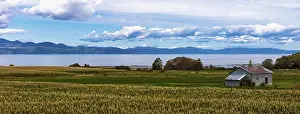 Quebec Canada Landscape Drucke: St.Lawrence River Valley with corn fields Quebec Canada