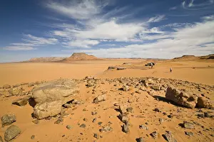 Drucke von Steinwüste, Libysche Wüste, Libyen, Sahara, Nordafrika, Afrika Westsahara Drucke: Steinwüste, Libysche Wüste, Libyen.