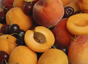 Stone Fruit Nutrition Drucke: Stone fruit