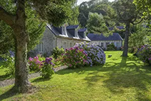Uninhabited Stone Structures Drucke: Stone house and blooming hydrangeas