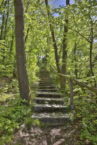 Austrian Countryside Landscapes Drucke: Stone steps in a lime-green spring forest