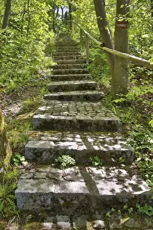 Uninhabited Woods Photography Drucke: Stone steps in a lime-green spring forest