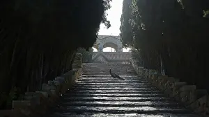 Historic City Center Greece Drucke: Stone steps, surrounded by tall trees