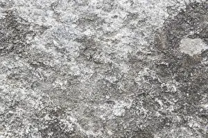 Deserted Wall Scene Drucke: Stone Wall