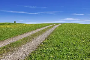 Blue Sky Germany Travel Drucke: Stony field path through a spring meadow