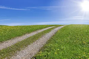 Country Lane Bavaria Drucke: Stony field path through a spring meadow