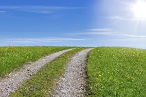 Deserted Country Lane Drucke: Stony field path through a spring meadow
