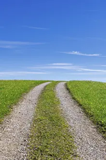Deserted Country Lane Drucke: Stony field path through a spring meadow