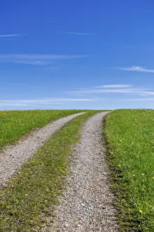 Deserted Country Lane Drucke: Stony field path through a spring meadow