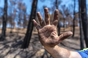 Climate Change Image Drucke: Stop arson, a man with black hands in the forest fire