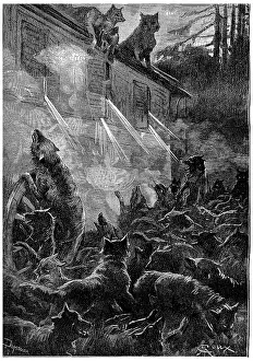 Vintage Wolf Illustration Drucke: Nothing can stop the rage of the beasts