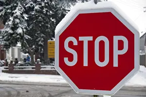 Deserted Street Scene Drucke: Stop sign in winter