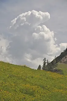 Cumulonimbus Clouds Europe Drucke: Storm cloud, cloud, thunderstorm